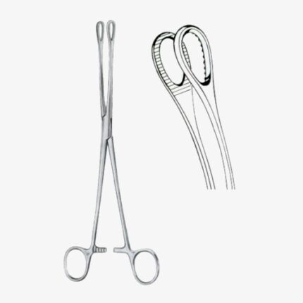 Foerster Sponge Holding Forceps BJ