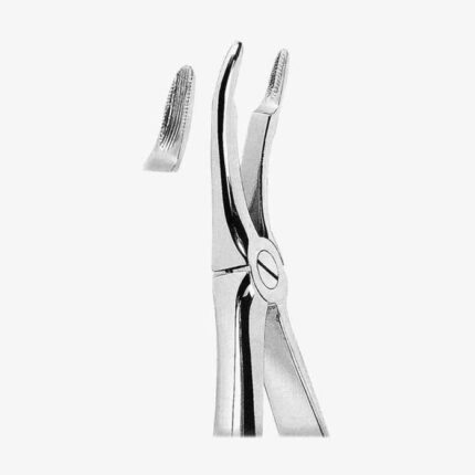 Extracting Forceps