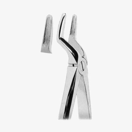 Extracting Forceps