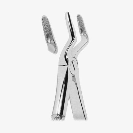 Extracting Forceps