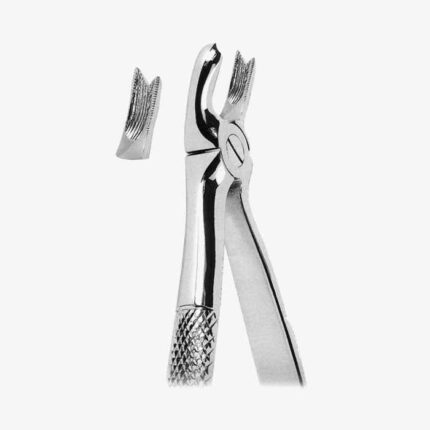 Extracting Forceps