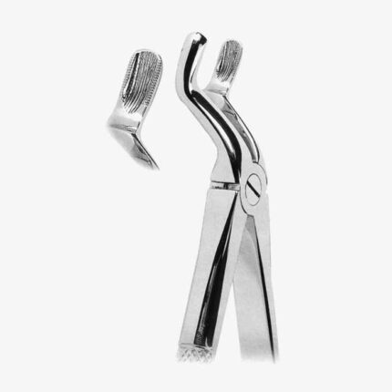 Extracting Forceps