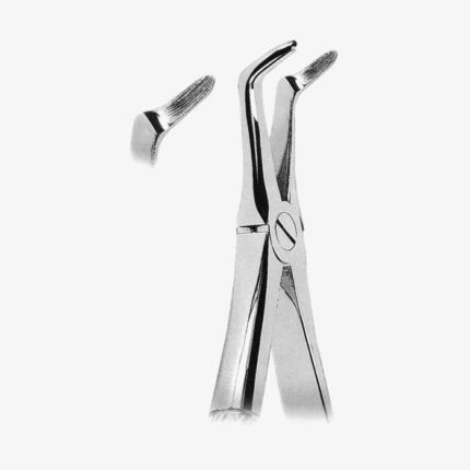 Extracting Forceps