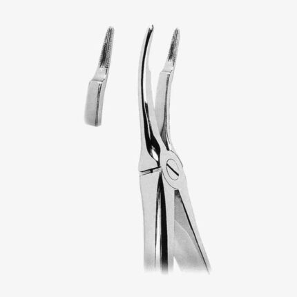 Extracting Forceps