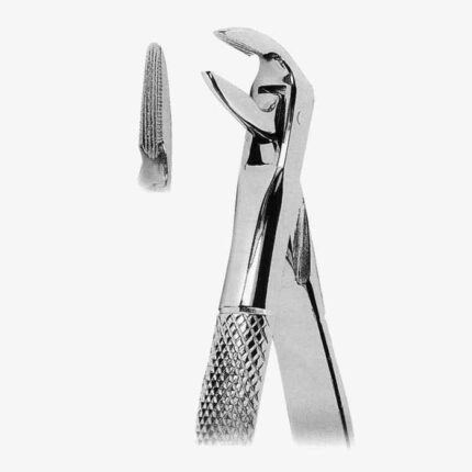 Extracting Forceps