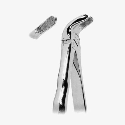 Extracting Forceps