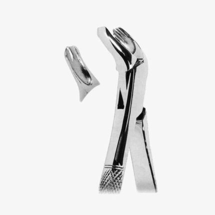 Extracting Forceps American Pattern