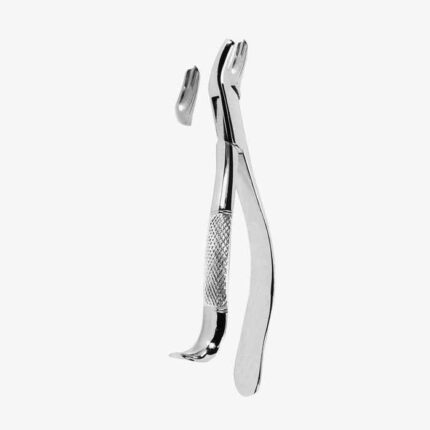 Extracting Forceps American Pattern