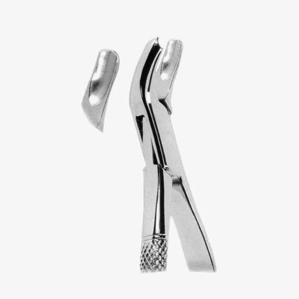 Extracting Forceps American Pattern