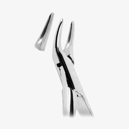 Extracting Forceps American Pattern