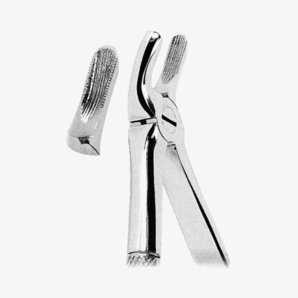 Extracting Forceps American Pattern