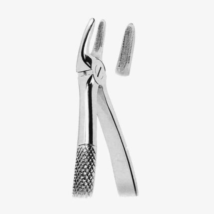 Extracting Forceps American Pattern