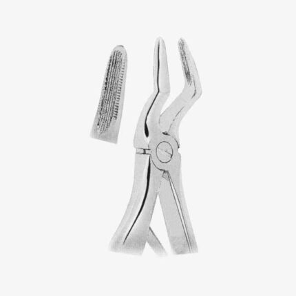 Extracting Forceps For Children- Klein Pattern