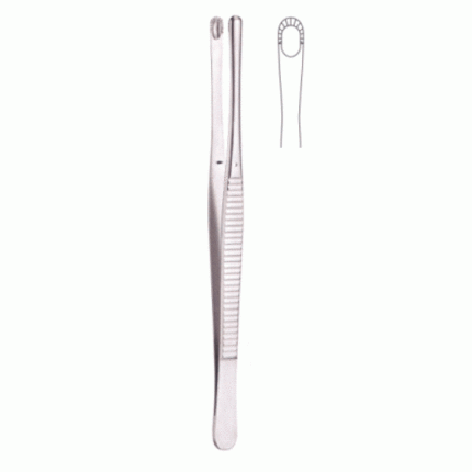 Russ.Modell Tissue Forceps